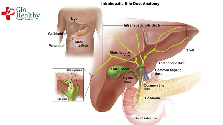 Bile Duct Cancer Cholangiocarcinoma Surgery Bile Duct Cancer Surgery 4500